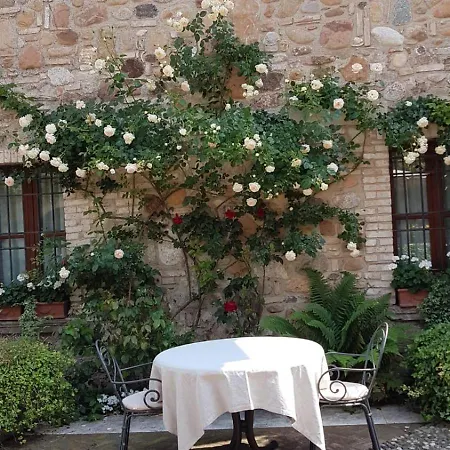 Couette-café Borsi