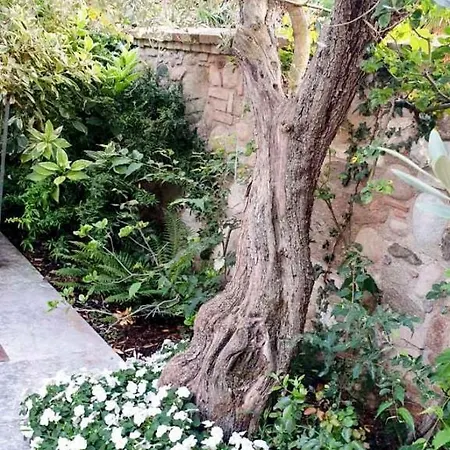 Borsi Bed and Breakfast